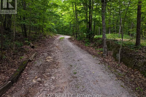 A winding gravel driveway leads through a lush green forest with mature trees on both sides. - 273 Fire Route 330 Route, Trent Lakes