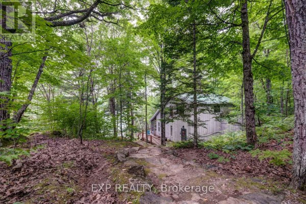 A rustic cottage with a green roof is seen through trees, with a path leading to its entrance. - 273 Fire Route 330 Route, Trent Lakes