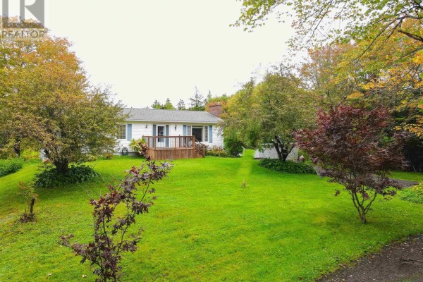Front view of the white house surrounded by green grass and mature trees with autumn foliage. - 273 Highway 1, Mount Uniacke