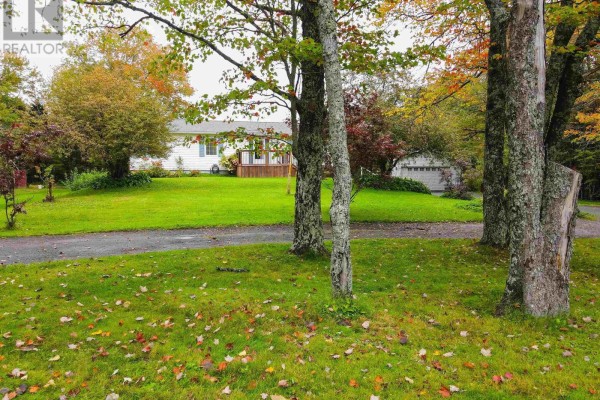 View of the white house from across the street, with a driveway and trees in the foreground. - 273 Highway 1, Mount Uniacke