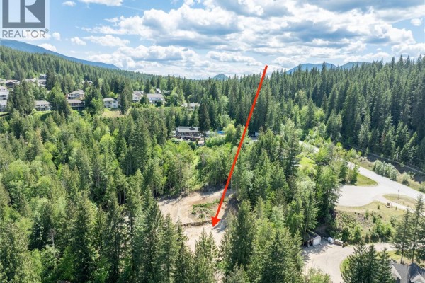 Dirt road winding uphill through a dense forest with tire tracks. - 2744 Lake Mount Place, Blind Bay