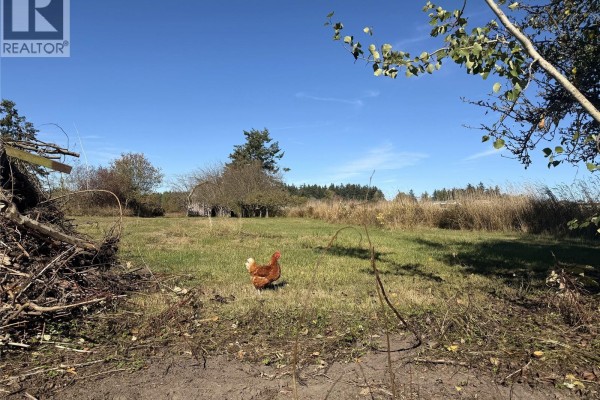 Laundry room - 2766 Island View Rd, Central Saanich, BC V0S1M0 Photo 3
