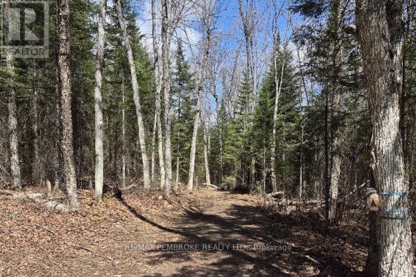 27681 Highway 60 Highway, South Algonquin, ON K0J2M0 Photo 4