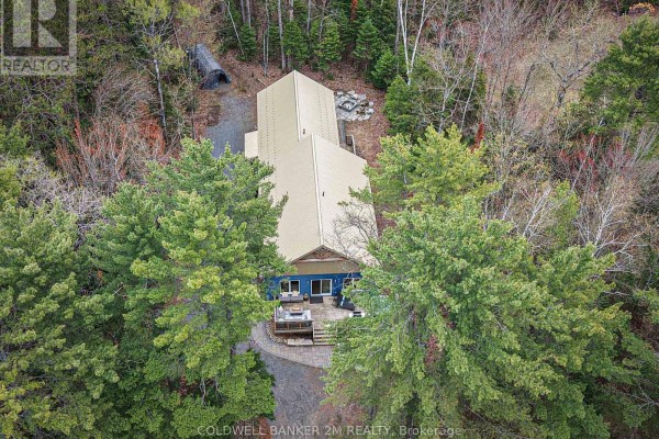 Bedroom 4 - 2776 Muskoka Rd. 117 Road S, Lake Of Bays, ON P0B1A0 Photo 3