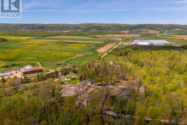 Aerial perspective of farmland and forest, showcasing riding arena and surrounding greenery. - 278 Fitch Road, Clarence East