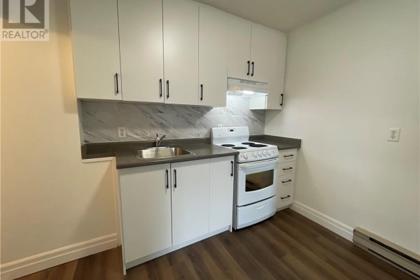 278 Mountain Street, Sudbury, ON P3B2T7 Photo 3