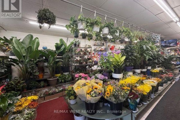 2781 St. Clair Avenue E, Toronto, ON M4B1N1 Photo 5