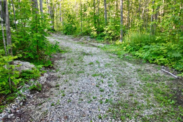 279 Barney's Boulevard, Northern Bruce Peninsula, ON N0H1Z0 Photo 2