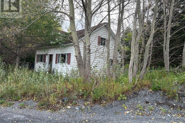 27a O'driscoll's Lane, Carbonear, NL A1Y1A3 Photo 4