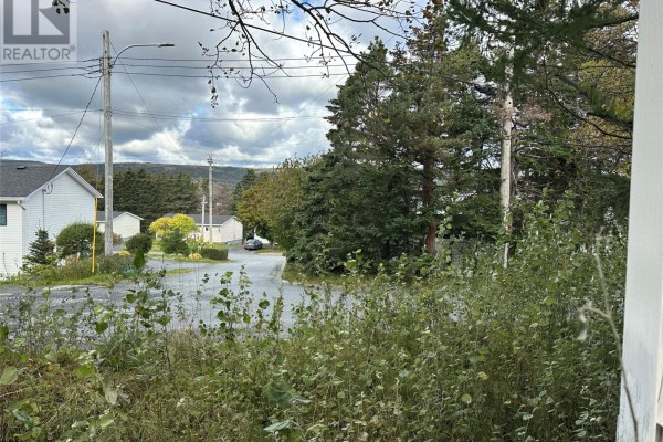 27a O'driscoll's Lane, Carbonear, NL A1Y1A3 Photo 5