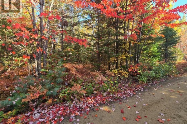 28 Acres Rue Des Fondateurs, Petit Paquetville, NB E8R1B3 Photo 2