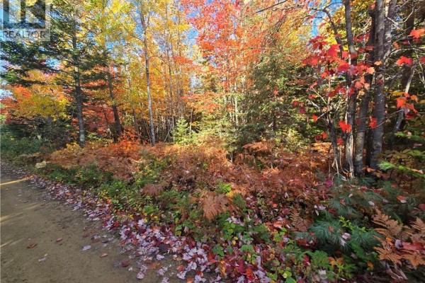 28 Acres Rue Des Fondateurs, Petit Paquetville, NB E8R1B3 Photo 3