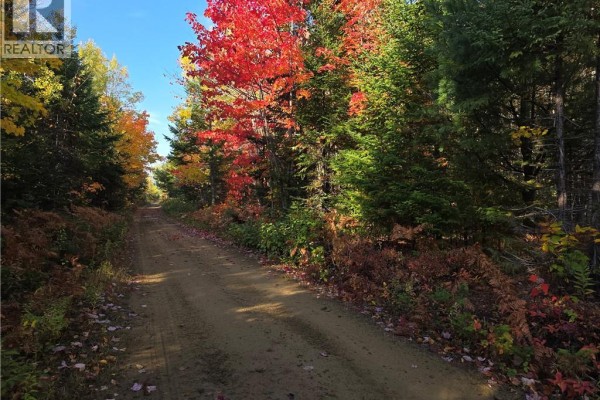 28 Acres Rue Des Fondateurs, Petit Paquetville, NB E8R1B3 Photo 4