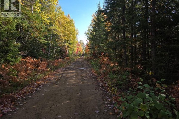 28 Acres Rue Des Fondateurs, Petit Paquetville, NB E8R1B3 Photo 5
