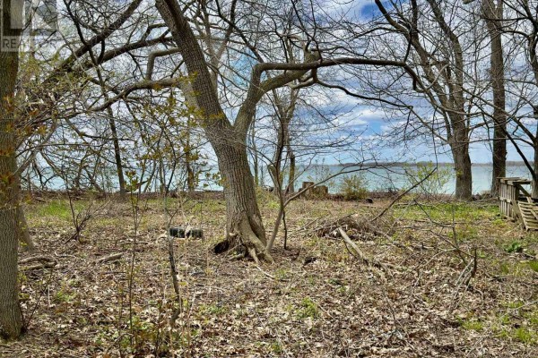28 Easy Lane, Frontenac Islands, ON K0H2Y0 Photo 4