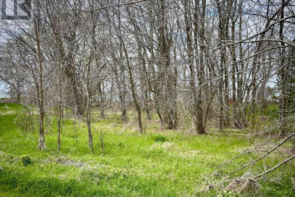 28 Easy Lane, Frontenac Islands, ON K0H2Y0 Photo 5