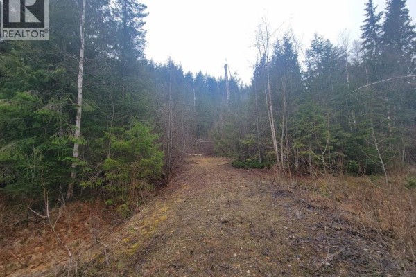 28 Gardom Lake Road, Enderby, BC, photo 3