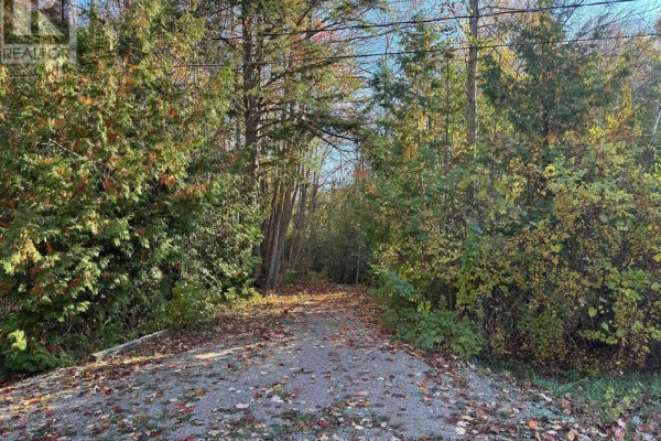 28 George Street, Bluewater, ON, photo 3