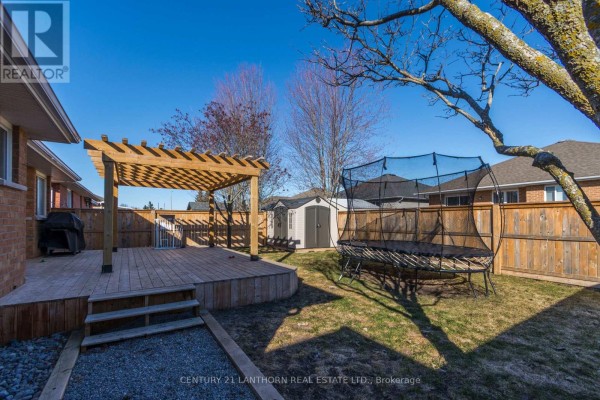 Backyard with deck, pergola, trampoline, and shed - 28 Hickory Grove Belleville