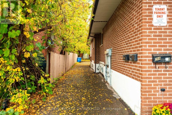 Narrow paved walkway beside a brick building with mailboxes and fallen autumn leaves. - 28 Hillside Drive, Orangeville