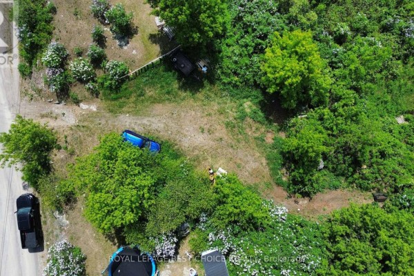 Overgrown lot with green bushes, a car, and the Cobalt water tower. - 28 Laird Crescent, Cobalt