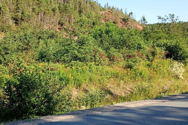 28 Main Road, Petley, NL A0C1G0 Photo 2