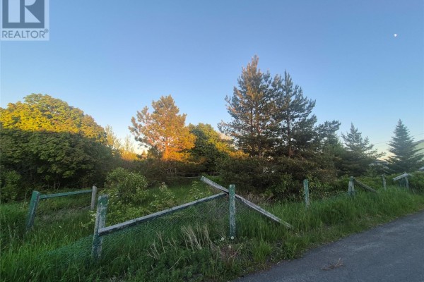 28 Second Avenue, Grand Falls Windsor, NL, photo 2