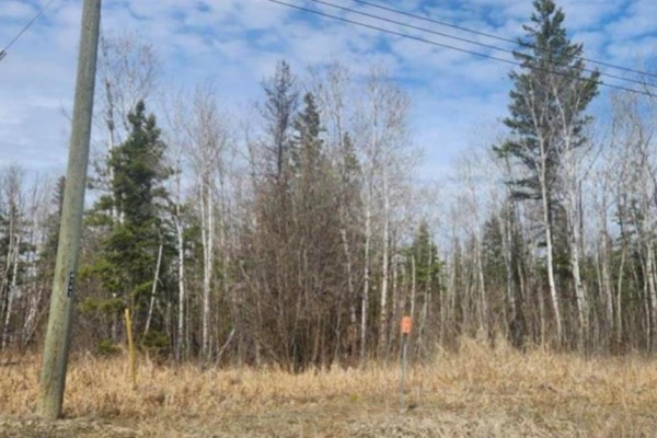 28 Whitetail Crescent, Gimli Rm, MB R0C0C0 Photo 2