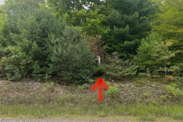 2800 Ardoch Road, Frontenac, ON K0H2T0 Photo 4