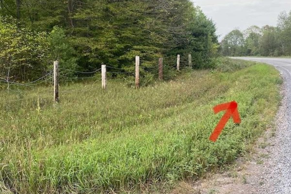 2800 Ardoch Road, Frontenac, ON K0H2T0 Photo 5