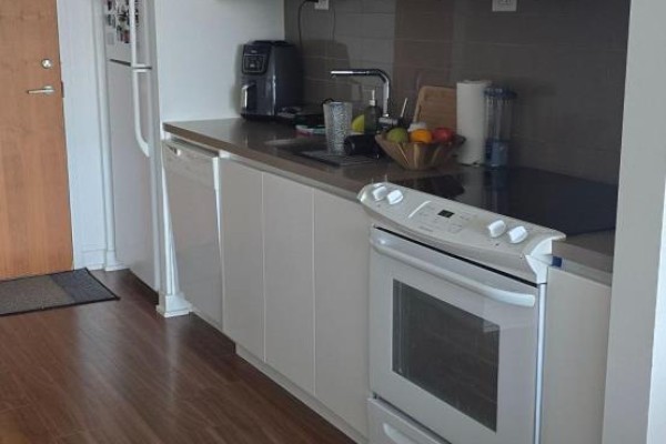 Kitchen - 2809 - 75 Queens Wharf Road, Toronto, ON M5V0J8 Photo 3
