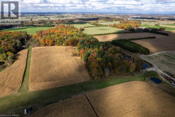 281 Concession 2 Townsend, Scotland, ON N0E1R0 Photo 5