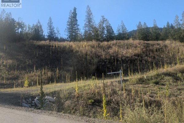 281 Dorothy Road Lot# 6, Lumby, BC, photo 3