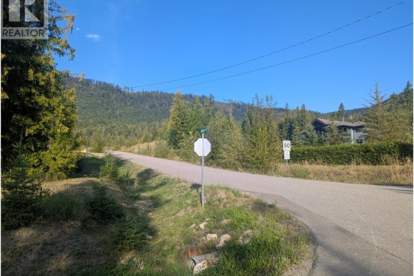 281 Dorothy Road Lot# 6, Lumby, BC V0E2G5 Photo 4