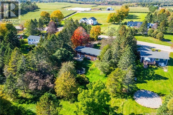 Aerial view of a property with a large brown house surrounded by mature trees and rolling green hills. - 281 Main Street, Sackville