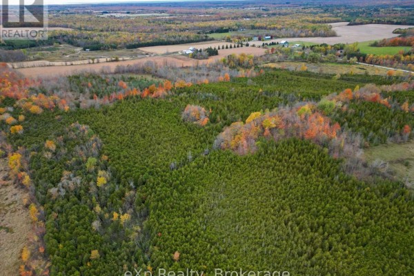 281140 Shouldice Block Road, Georgian Bluffs, ON N0H2K0 Photo 5