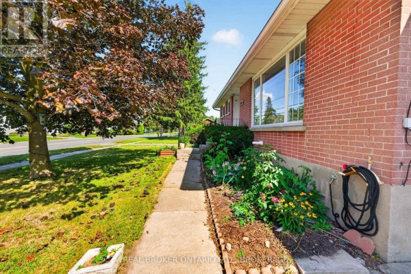 Kitchen - 283 Camden Road, Greater Napanee, ON K7R1E7 Photo 3
