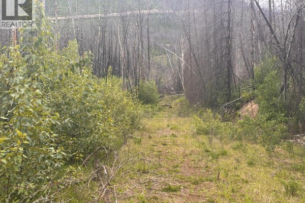 2839 Garland Road, Celista, BC V0E1M6 Photo 3