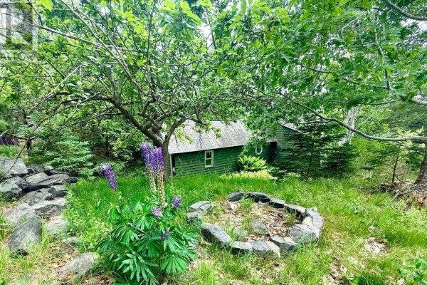 284 Gardners Mill Road, Gardners Mills, NS B5A5N5 Photo 4