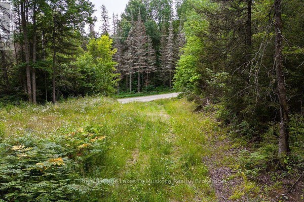 286 Halls Road E, Magnetawan, ON P0A1Z0 Photo 4
