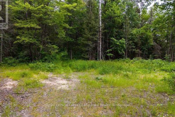 286 Halls Road E, Magnetawan, ON P0A1Z0 Photo 5