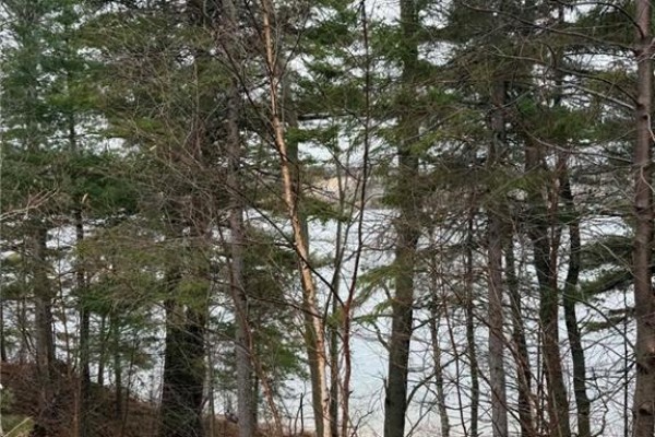 286 River Road, Sunny Corner, NB E9E1W1 Photo 4