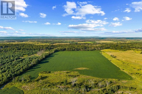 Aerial view of dense bare trees with scattered evergreen trees and a small stream. - 2865 Ridgetop Road, Ottawa