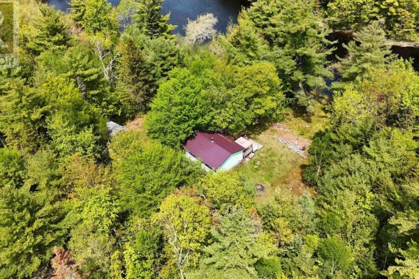 3pc Bathroom - 288 Meaugher Road, Harmony, NS B0T1B0 Photo 3