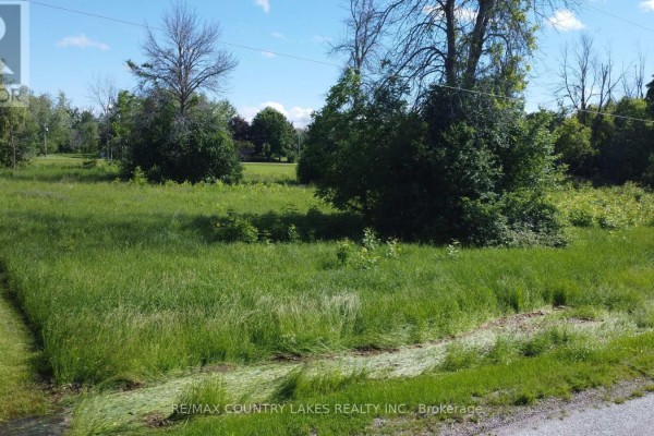 2889 Sunset Drive, Ramara, ON L0K1B0 Photo 2