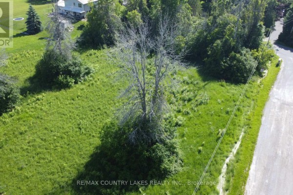 2889 Sunset Drive, Ramara, ON L0K1B0 Photo 3