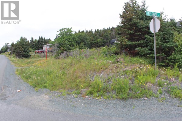 289-291 Seal Cove Road, Conception Bay South, NL A1X6S9 Photo 2
