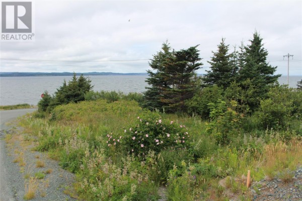 289-291 Seal Cove Road, Conception Bay South, NL A1X6S9 Photo 3