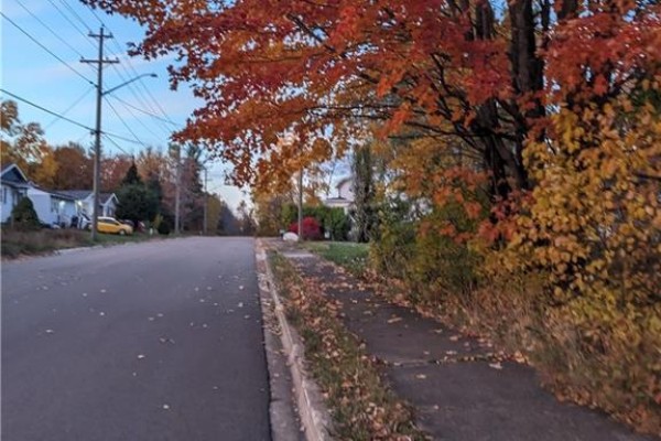 Residential street in Moncton with sidewalks, parked cars, houses, and trees displaying autumn foliage. - 289 Cedar Street, Moncton