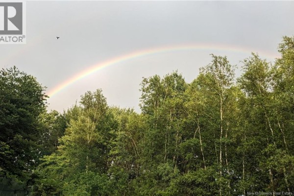 A vibrant rainbow arcs over a lush canopy of green trees under a cloudy sky. - 289 Cedar Street, Moncton